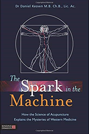 Spark-in-the-Machine,-by-Daniel-Keown Book Cover
