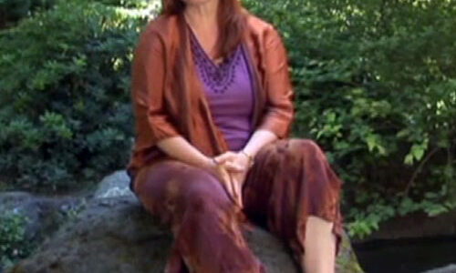 The Visual Atlas of Energy Medicine
